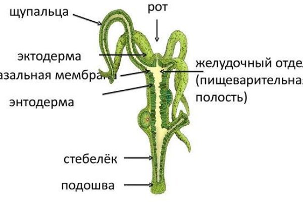 Кракен даркмаркет плейс